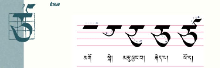 Calligraphy of tibetan letter ཙ༌ (tsa)