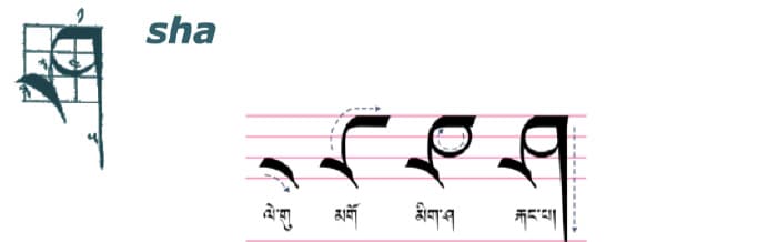 Calligraphy of tibetan letter ཤ༌ (sha)
