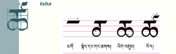 Calligraphy of tibetan letter ཚ༌ (tsha)